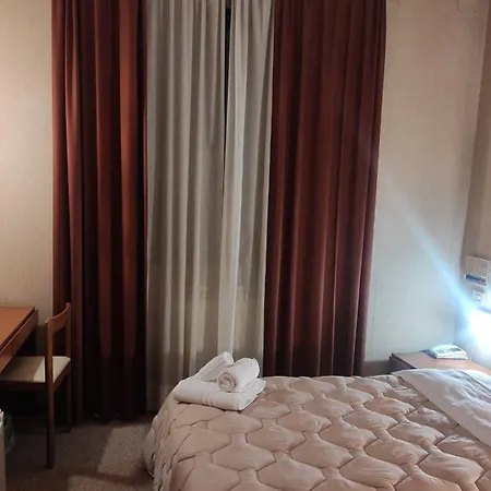 Hotel Centrale 3*